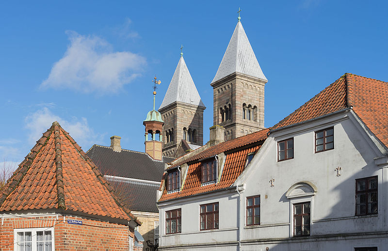 Katedrála ve Viborgu, Dánsko